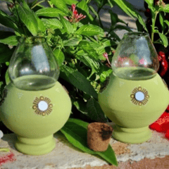 Traditional Oil Lamps (Set of 2)