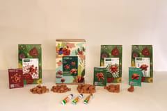 Miniature Terracotta Bricks ANIMAL KINGDOM 3-IN-1 PACK